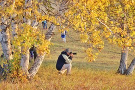 3710C065-D78B-475F-A999-796DF401F44B