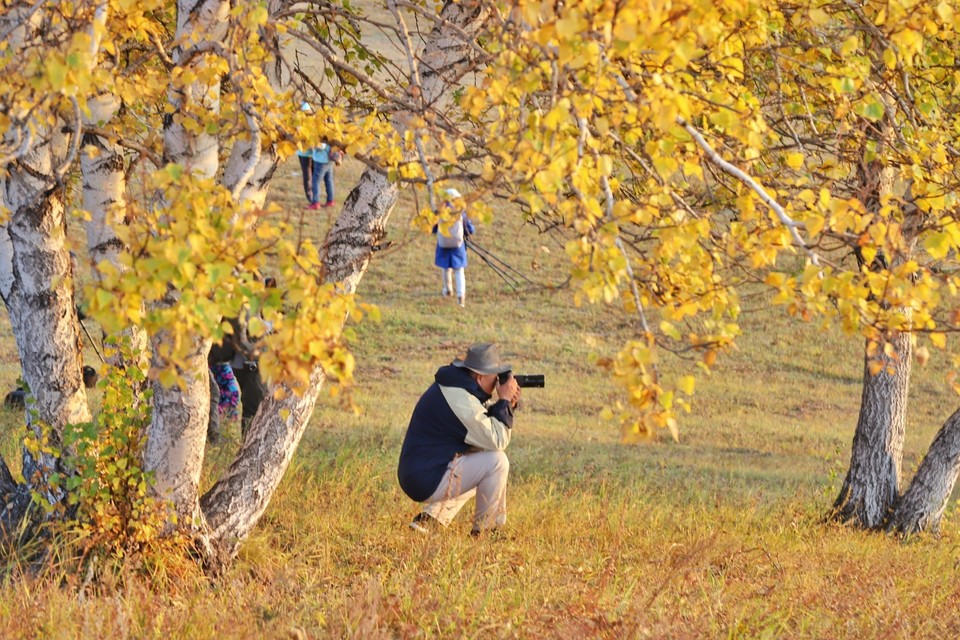 3710C065-D78B-475F-A999-796DF401F44B