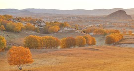 6C173EF8-22ED-4492-AF7F-ECBBB9184EF6