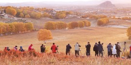 98FCD804-3BB0-40C0-8103-F366D0803281