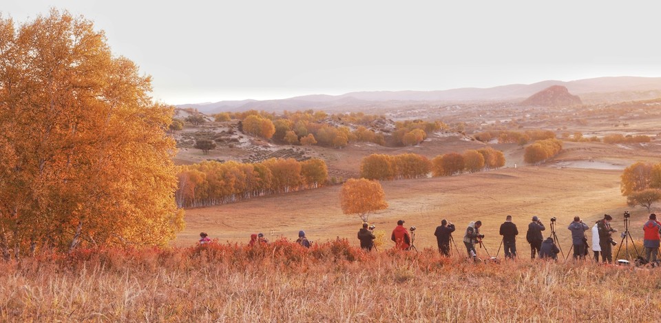 C54D4B97-DD12-4159-9B2D-156F6BE36559