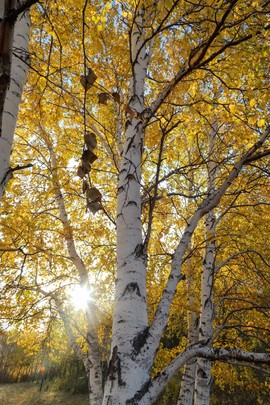 57EF515B-6AB8-4A67-9015-B20CE31C28BF