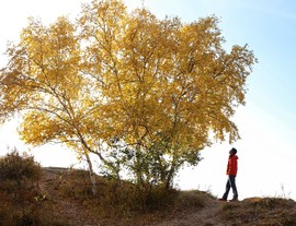 9BA15DEA-DD4A-4F06-96D3-A01BDABB212D