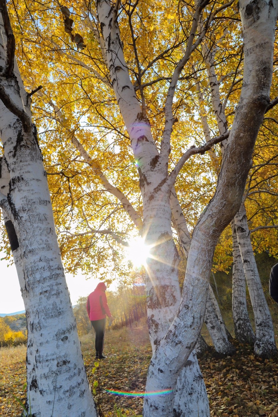 3C7CAF59-0920-44EE-A814-0435D05D964F