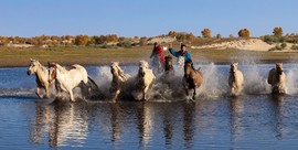 19B49549-64C6-4C7F-ABD3-4B54A35342D2