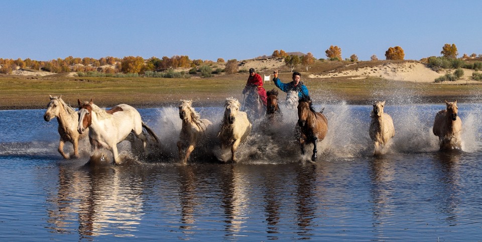 19B49549-64C6-4C7F-ABD3-4B54A35342D2