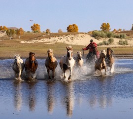 2E7522A3-9227-439E-9BB3-95AC35DF426E