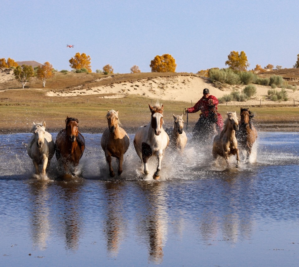 2E7522A3-9227-439E-9BB3-95AC35DF426E