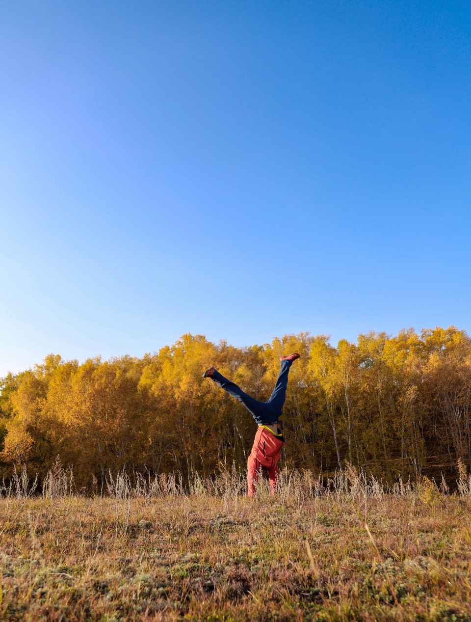 285A786C-A74D-4D0D-9FD3-CAD3AFCF33AA