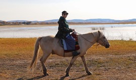 2FD2B8D5-B156-4C96-8BE0-673DD4DCFE12