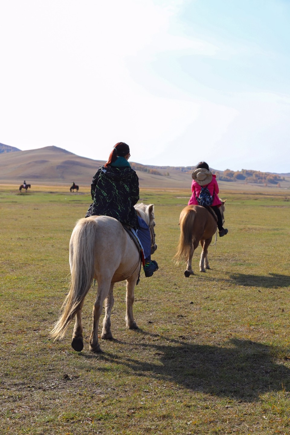 1C5F845B-47CD-4986-B2F0-0FD49FCD2264