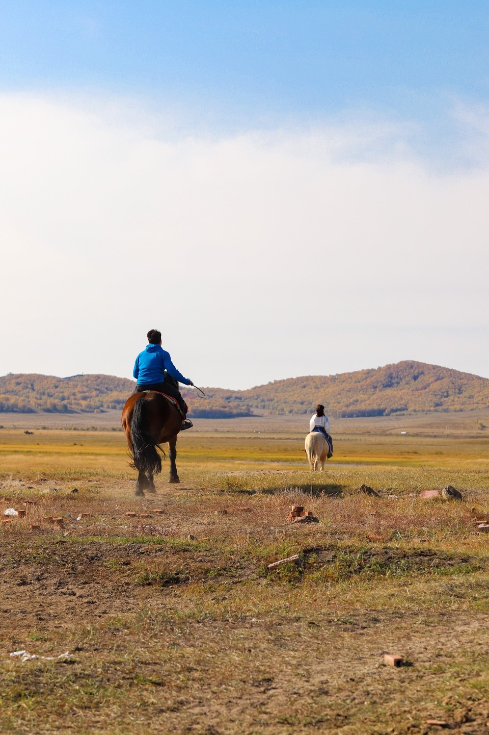 74D50DE4-91A2-4CC1-B113-1DD3E3696393