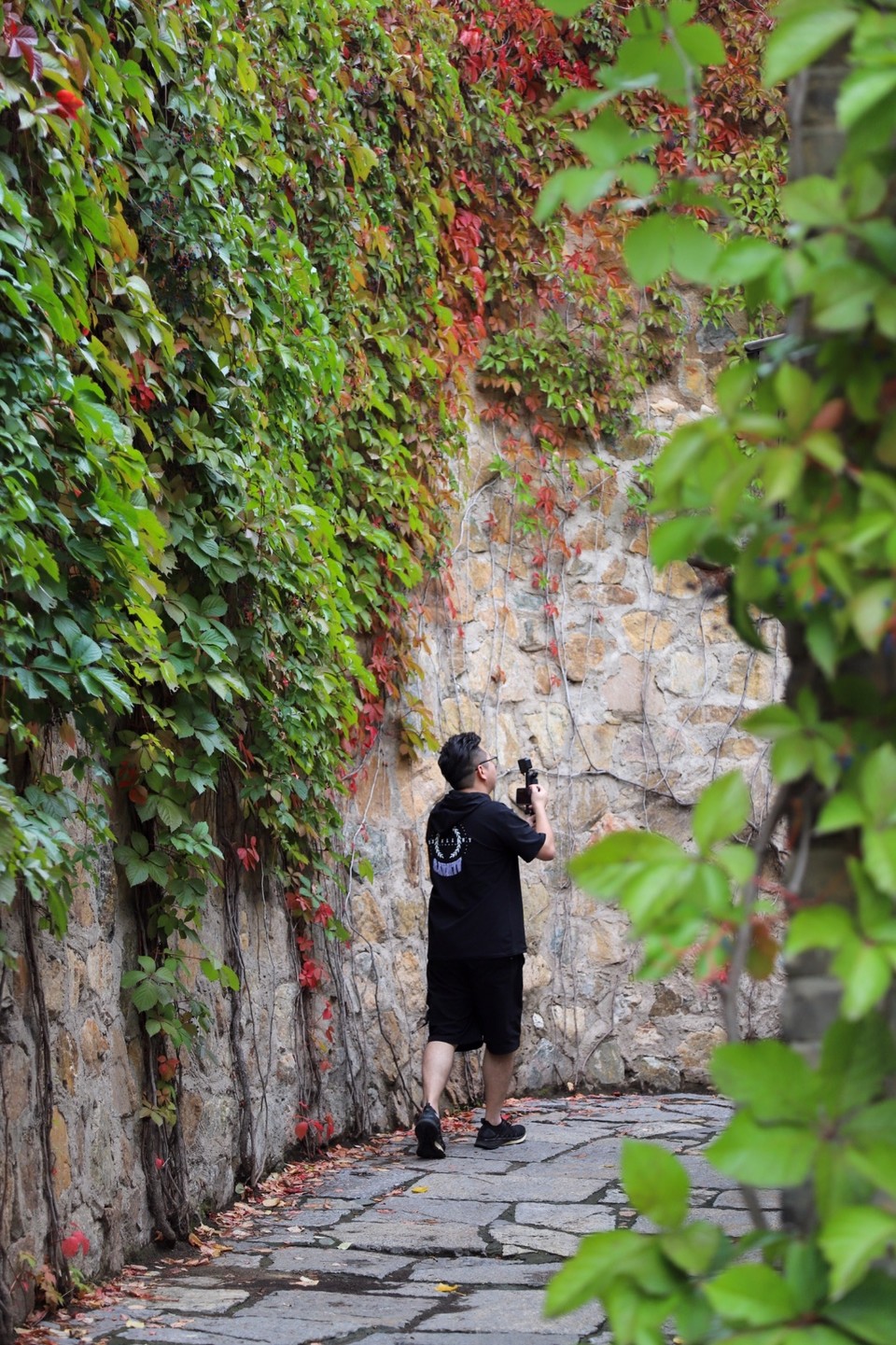 B6F8CEC1-6255-4219-9D80-6DE305E9F57F