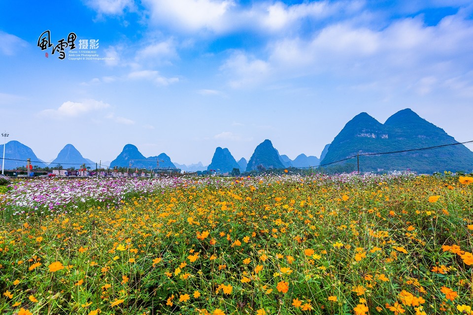 0410FA94-D4AF-4464-961E-15839CA60D99