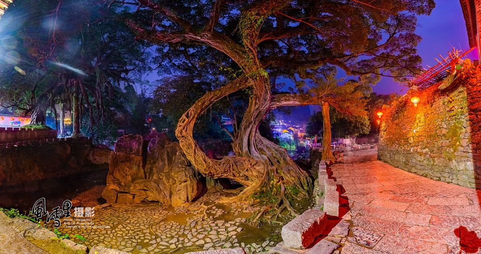 D66173F4-EF56-41F1-8398-DBDBD0CFA51C