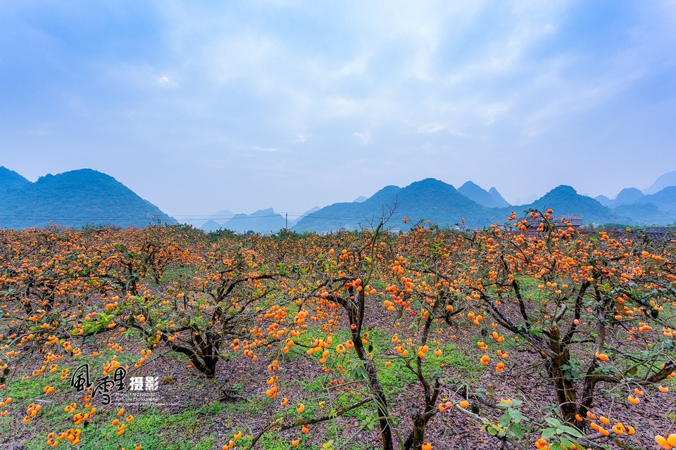 6354ADDC-7B47-49DA-81A4-662CB7F71EA3