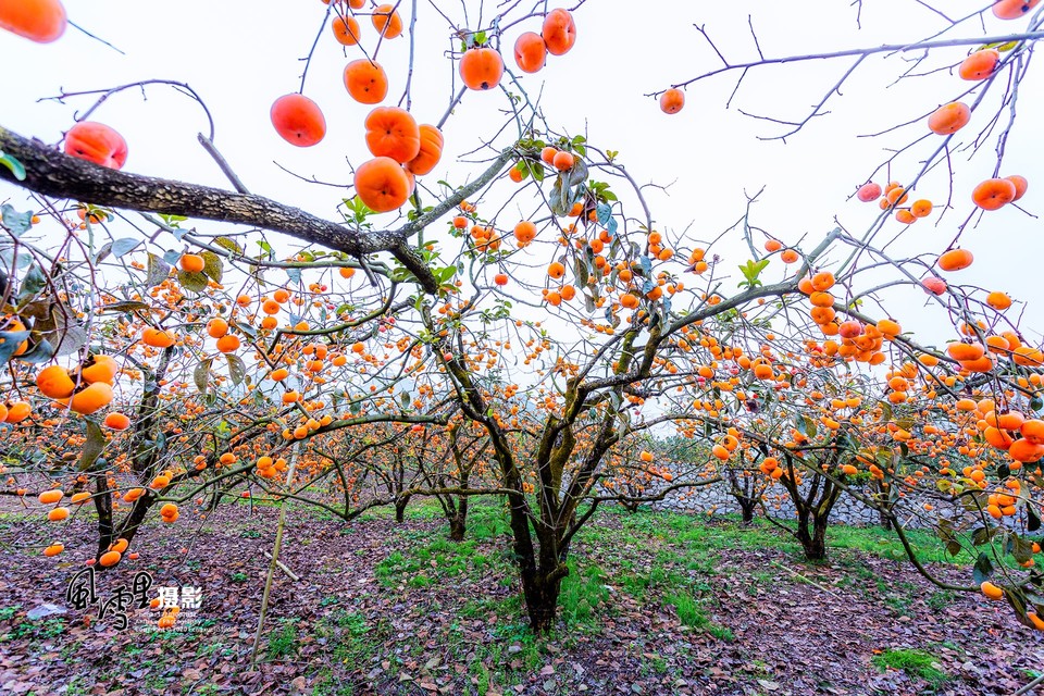 A21D6736-F87A-47C6-BA58-C430925CE933