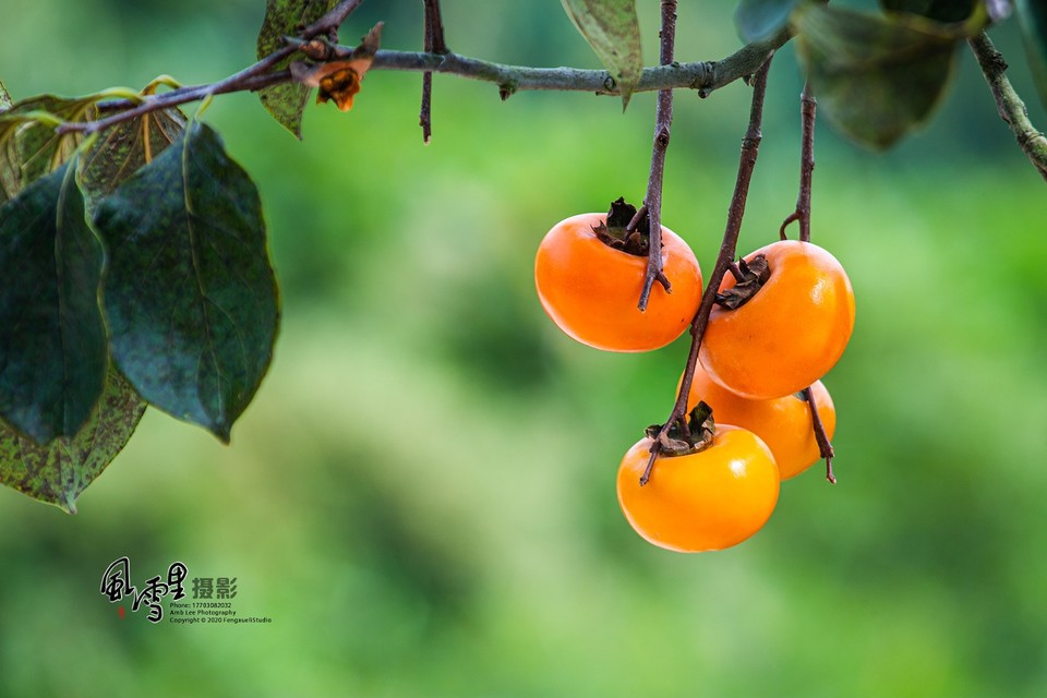 75B9BD5A-5370-4A93-86EA-C6DDBD657B16