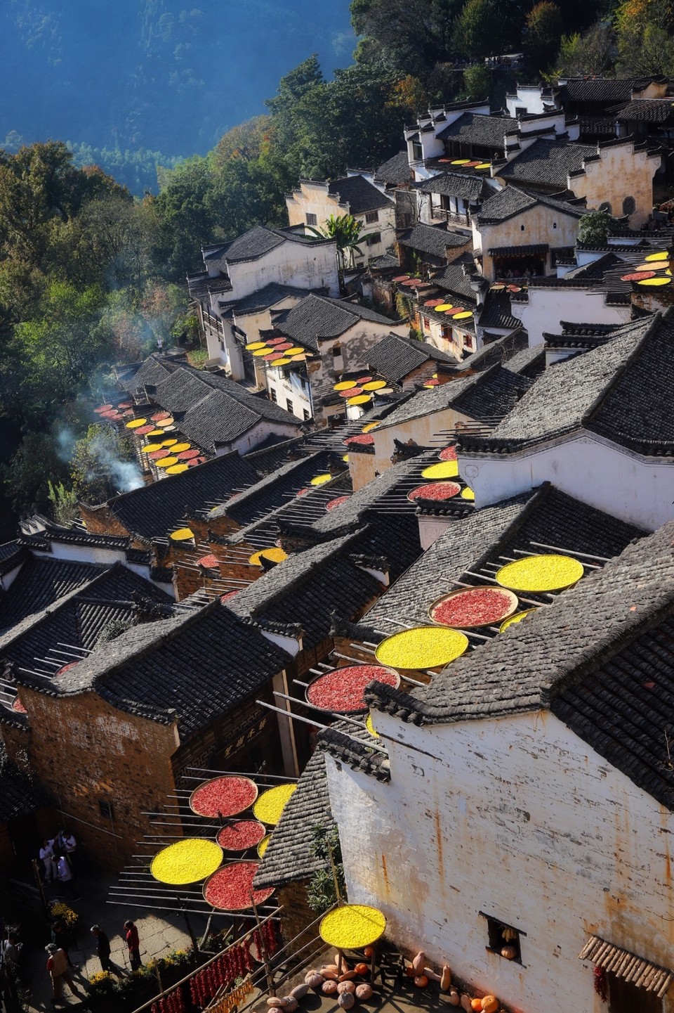 A9CE533F-47EE-436A-951E-B264DEA0FBE9