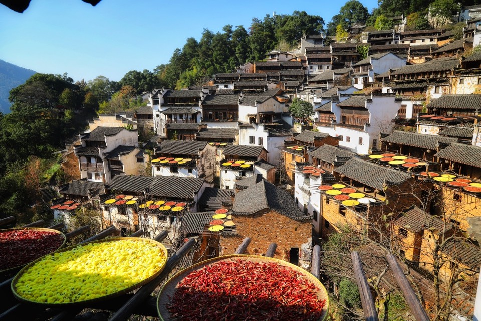 F24DE3D1-991E-4A23-B28E-6F2C15C352E0