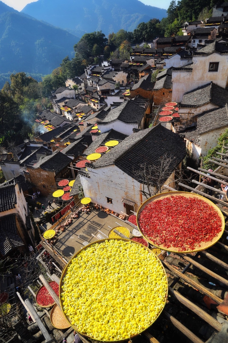 CE42DBA6-8062-4C40-9F7E-7CCAAE36DE0D