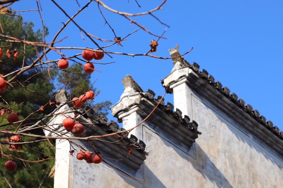 78B91219-19CE-4685-8F55-8114136792A8