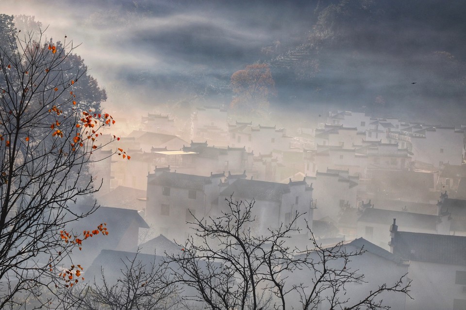 FB3ECD8D-36A1-40F8-B26D-3B9996F29628