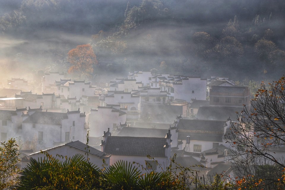 8850720B-F7C8-4F56-A4A0-EC76B9289CFA