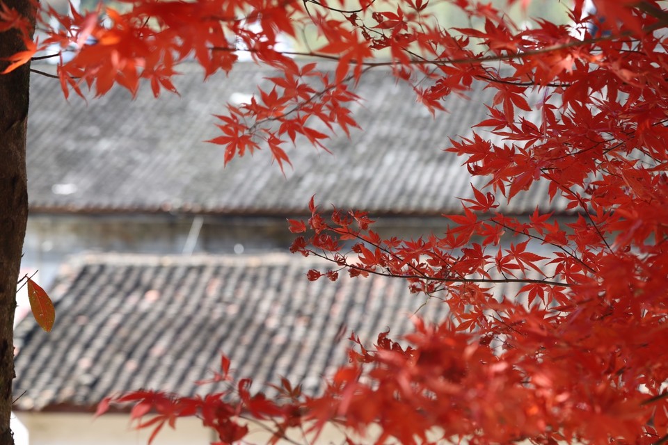 3388C3DC-EFEF-403E-8AE5-7B40A28FFF33