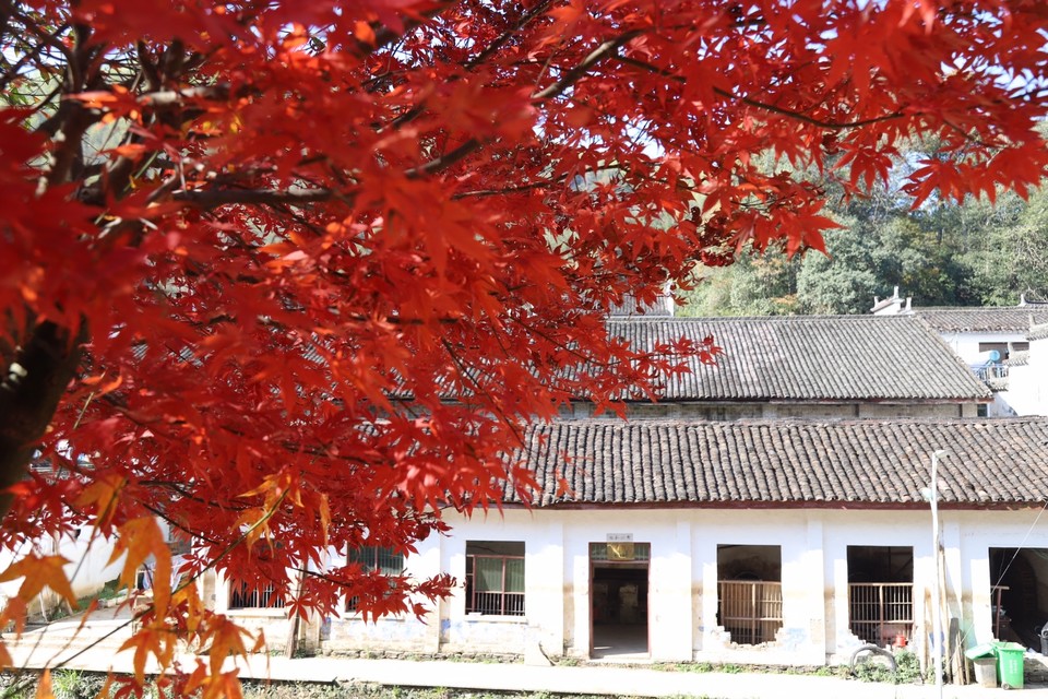 2FD0B1FC-A471-4651-94CB-A3E53DF9C2D7