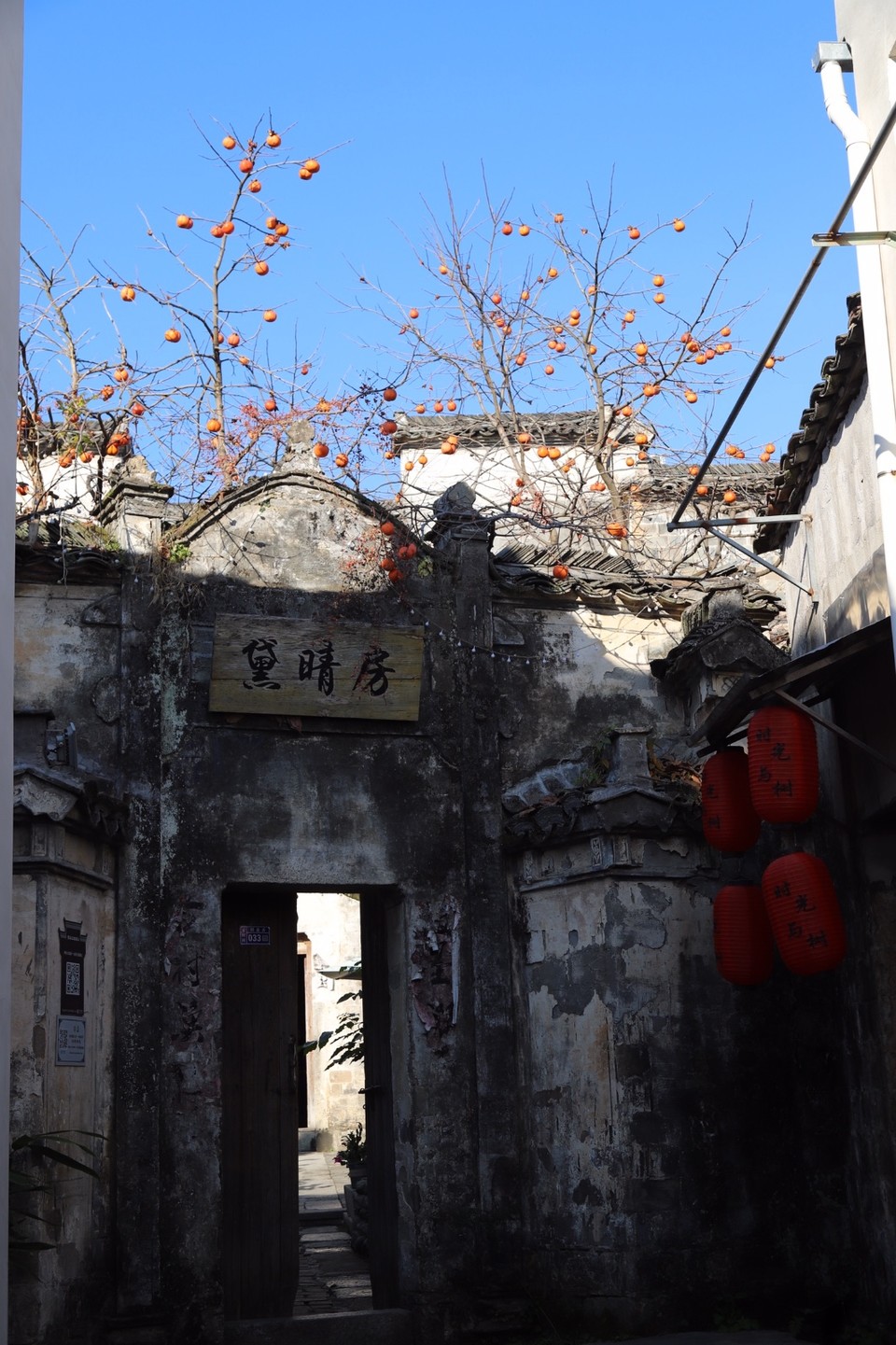 94531321-6C9F-408E-94EF-4D99B59C5E3A