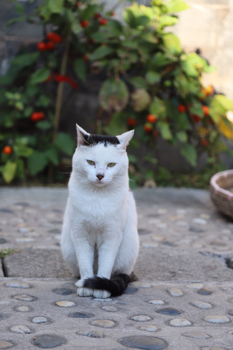 7825D6E1-1302-4707-9B7A-D3D37C9E841E