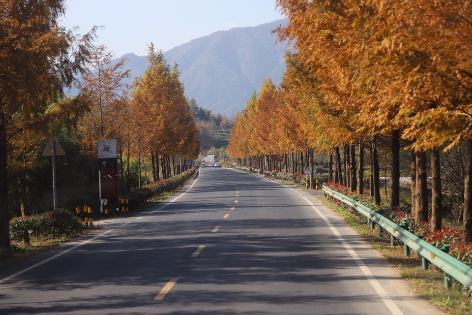 EBB8534B-0ACA-464E-9D90-6A2A8E9DFE1A