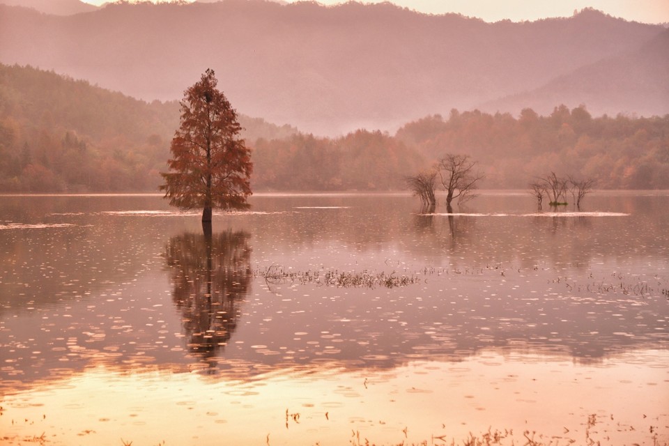 71F4B9DD-85A4-4AEF-88DF-9ADAA68E4CFC