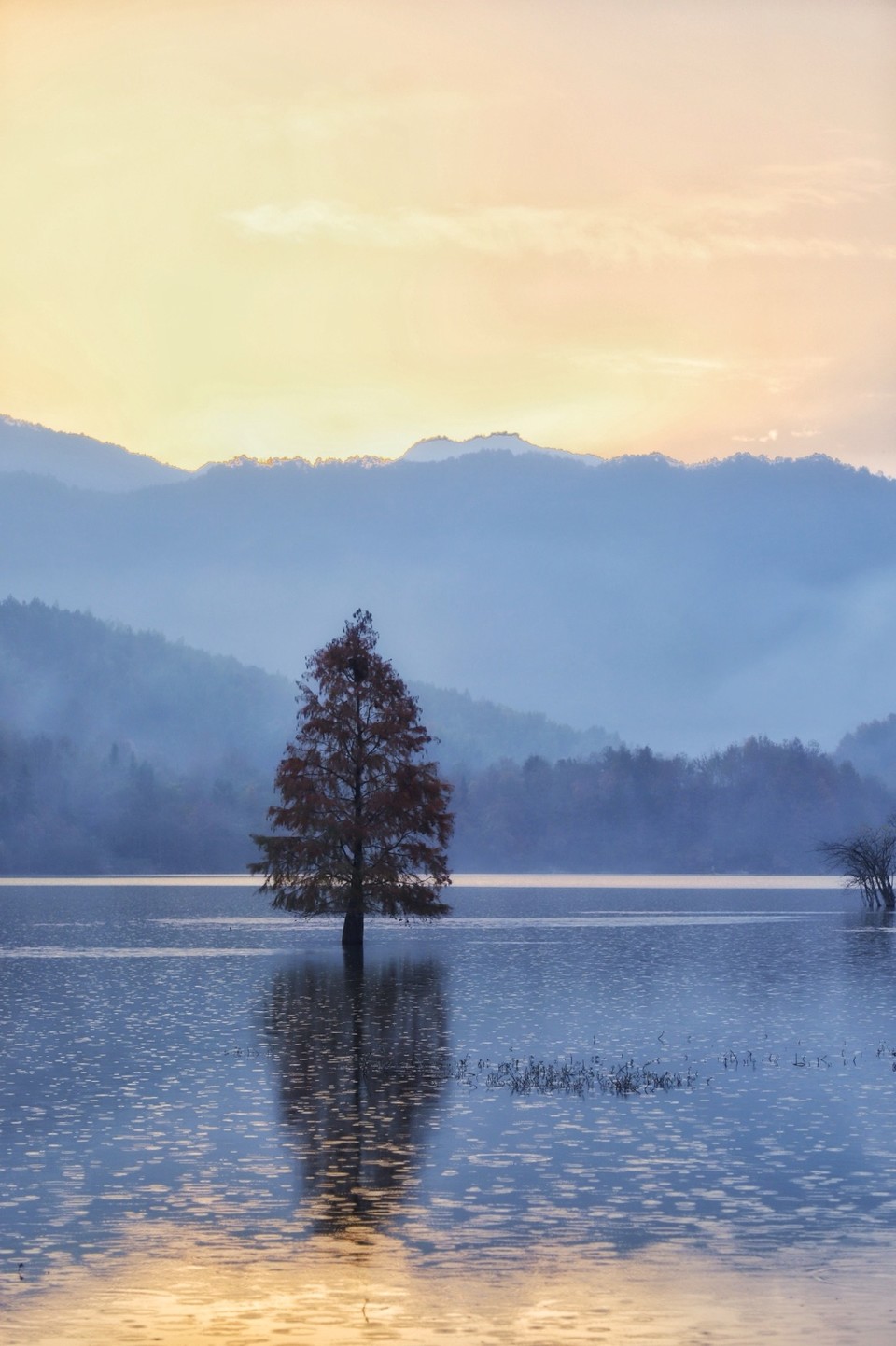 85A88395-2746-4531-81A8-D8037E5AE72C