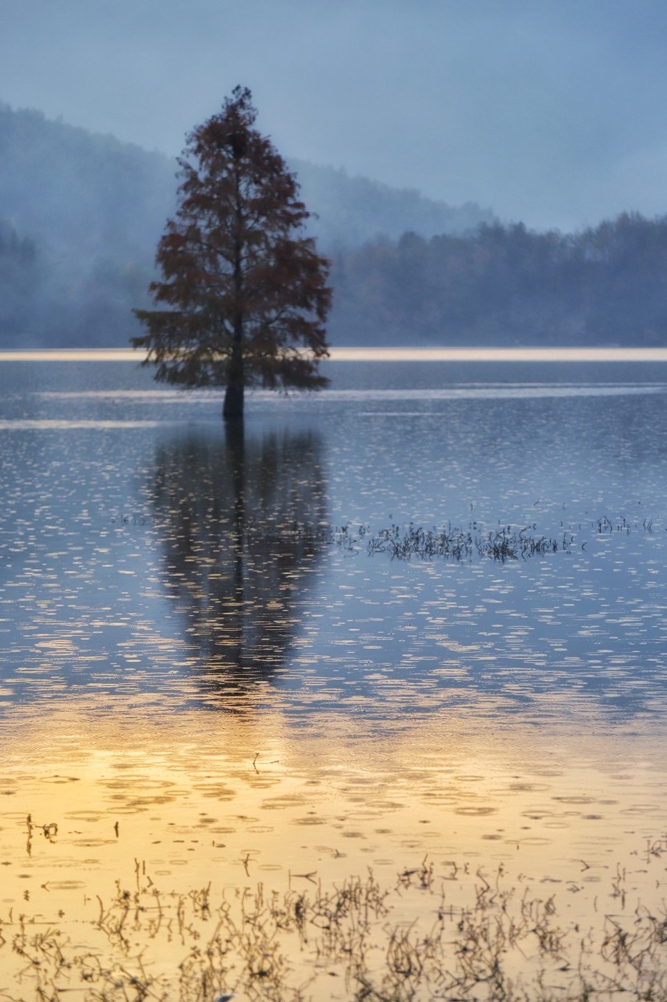 E4BCE2F8-034B-4553-983F-E05CA437500E