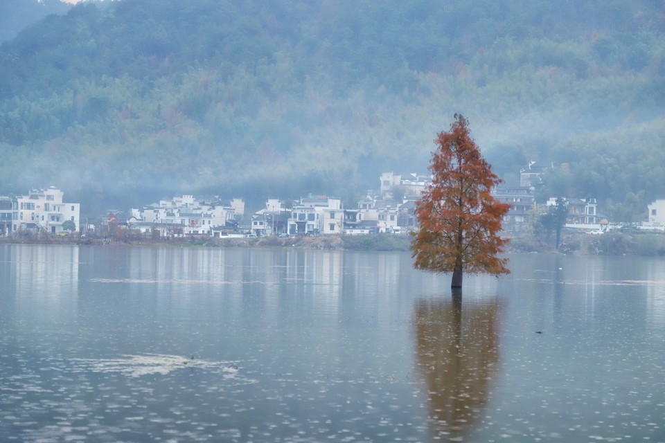 9D8D0778-051D-4252-ACBA-A6C9C1278A34