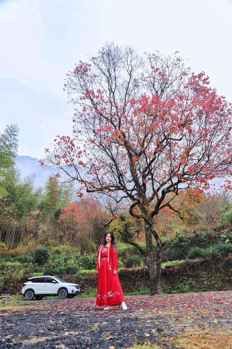 AD7BEABB-F3EB-4FD4-9814-D9ED12896B8D