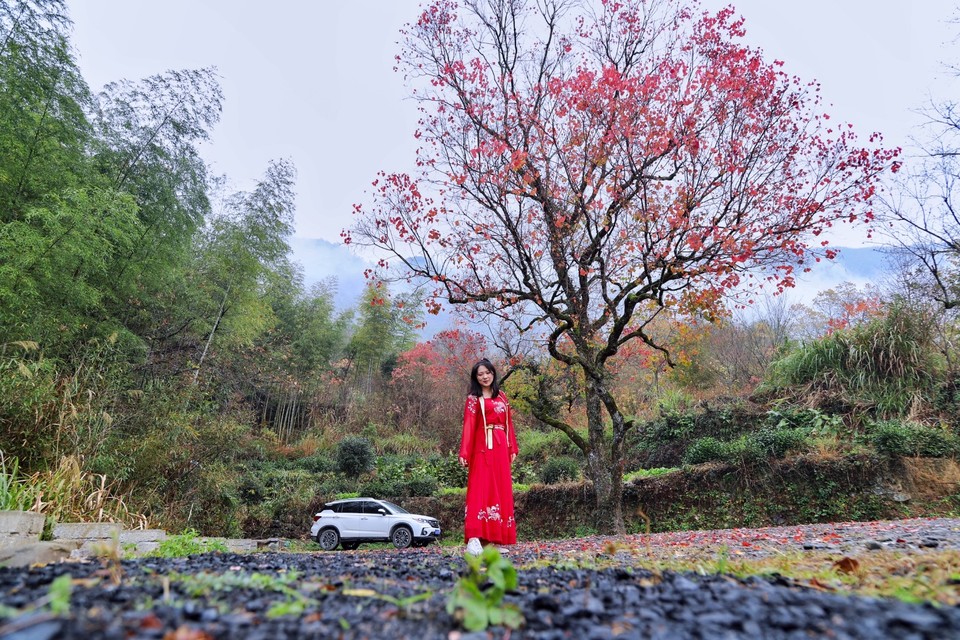 9D16782A-503D-4FD8-ACEC-9D47D53A9C92