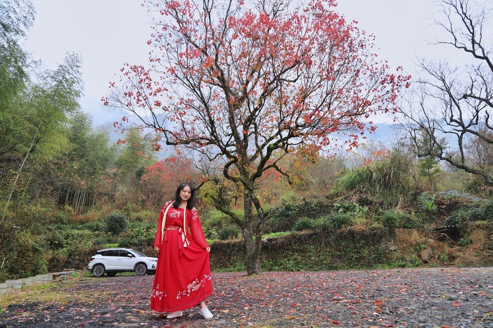 F3004525-1EA7-4424-ACF6-25A7CB36A2A9