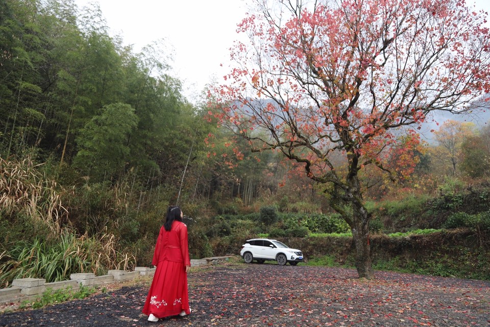 EBEBE7EE-F7C2-4240-9F7F-3DFE842A8BA6