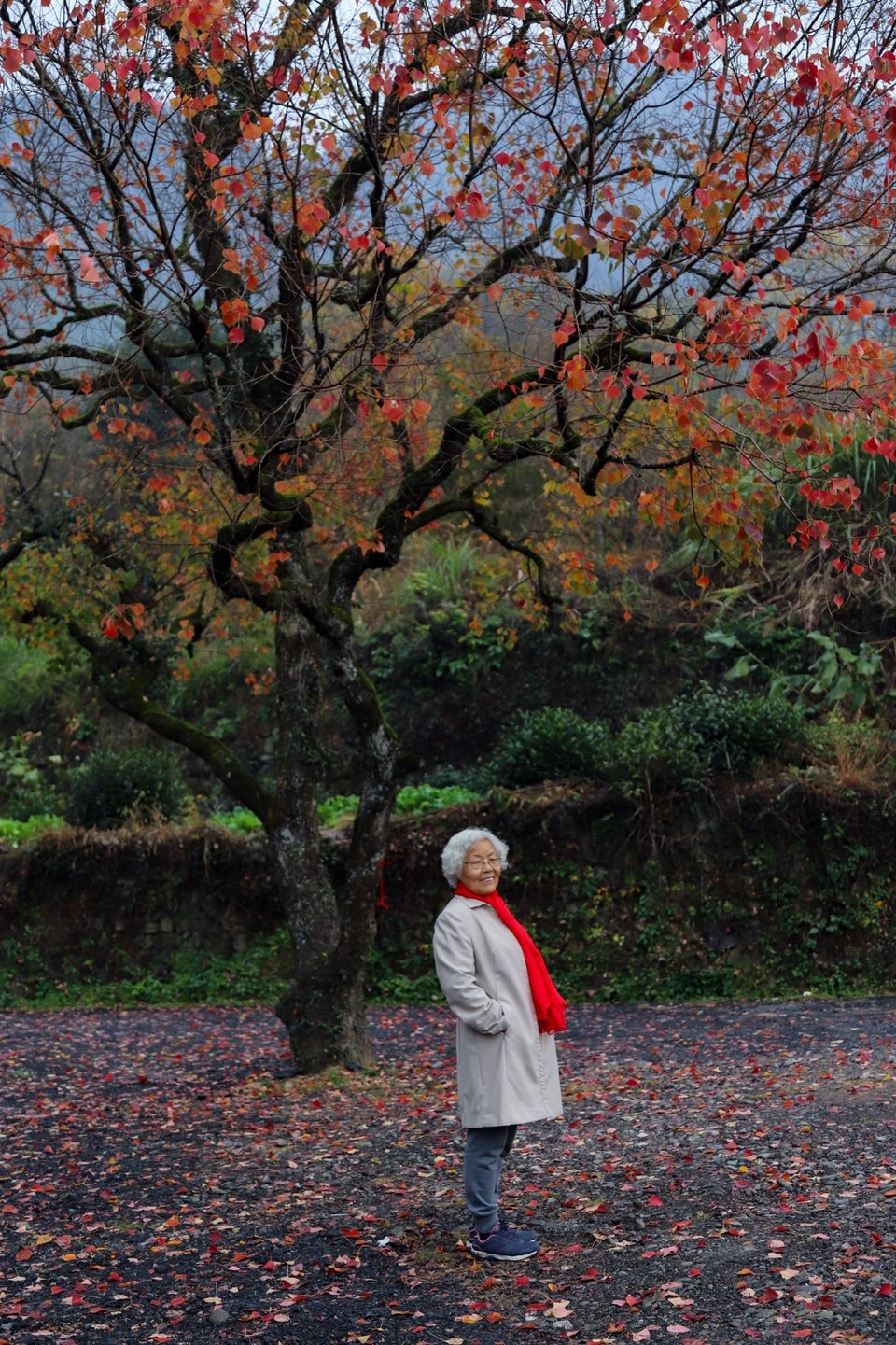 6C5C250B-BC02-467A-87EB-EE4B0BD6ADF9