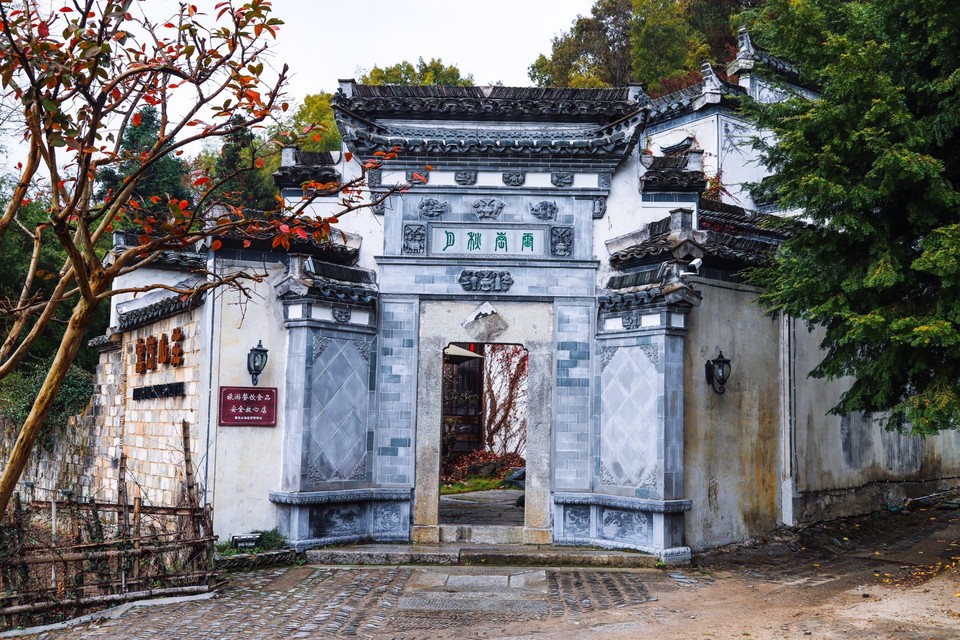 60161247-902A-4F29-A986-04B08E3F36C8