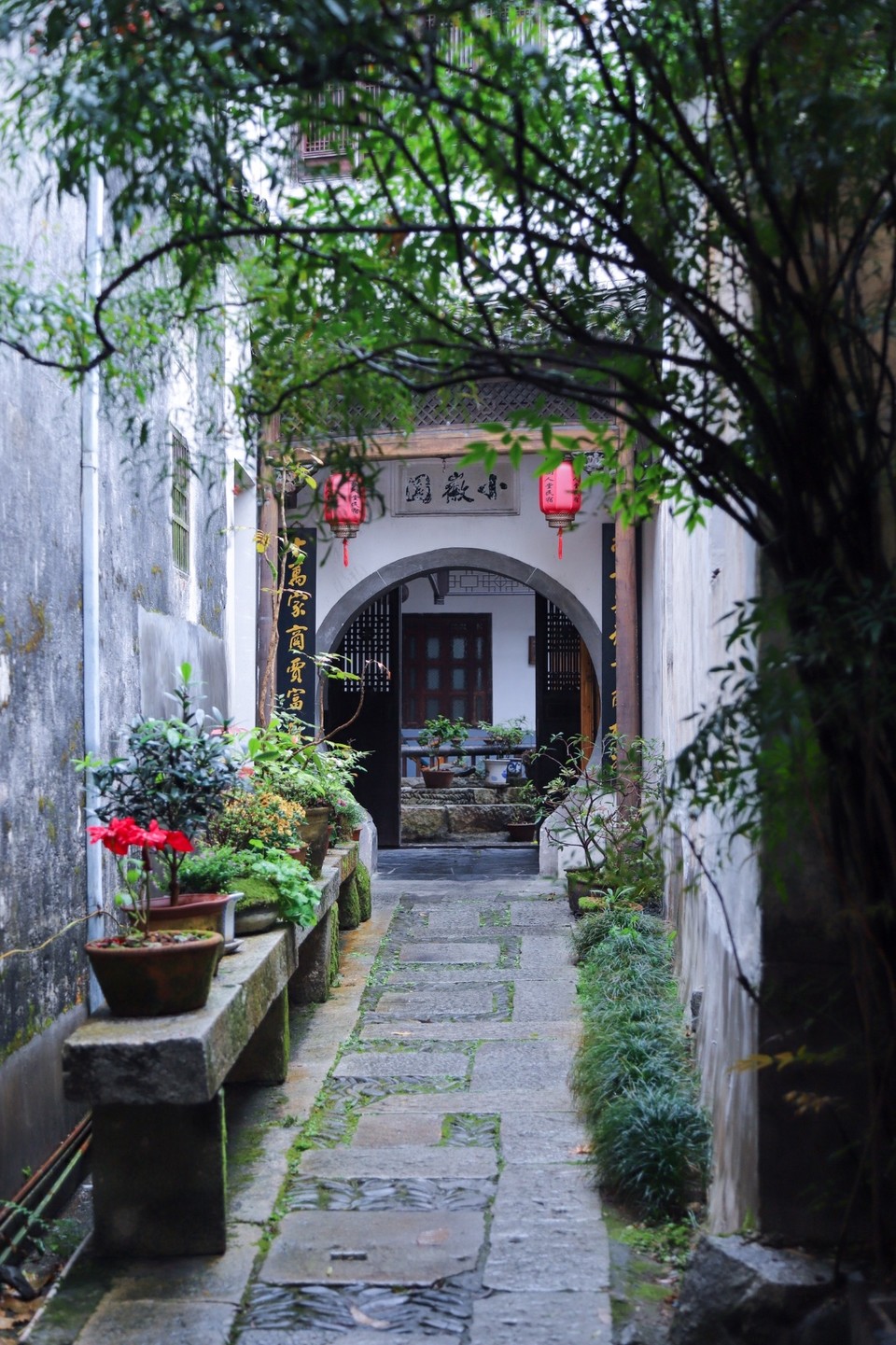 DB4F5492-D7DE-4AEE-88C0-4B2C38934B7E