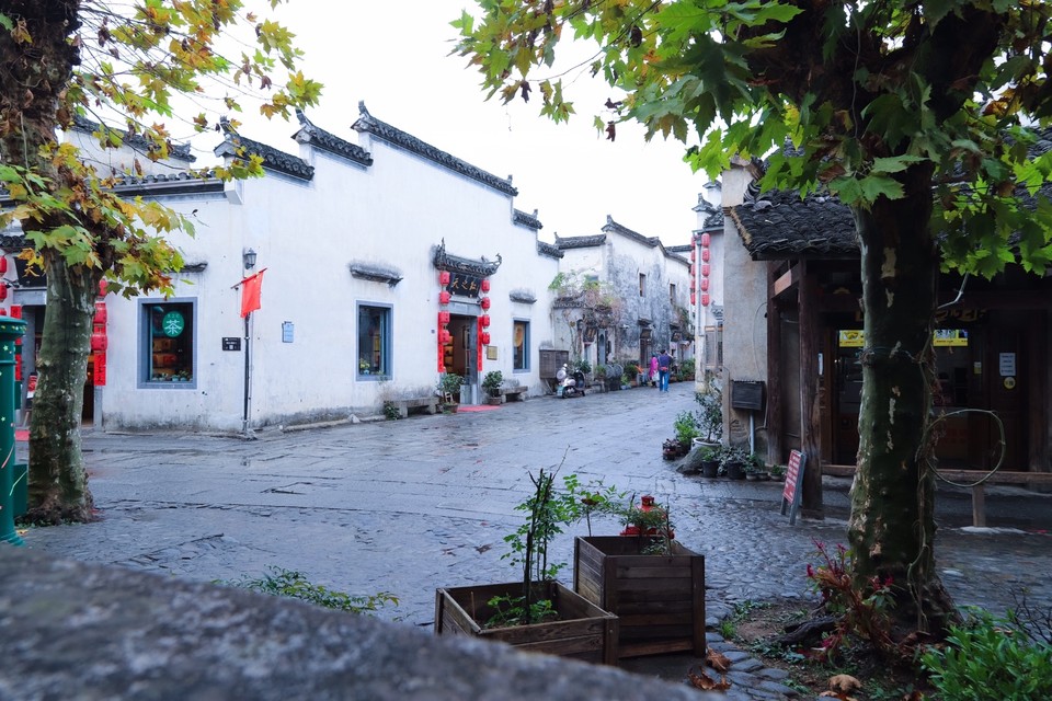 50881934-DC73-4554-837F-05C31C335972