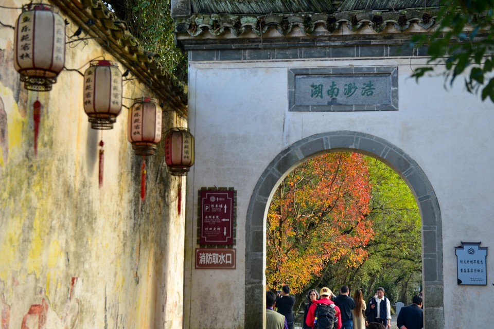 561F3CC8-D07D-4D88-BE50-88924D2B06CC