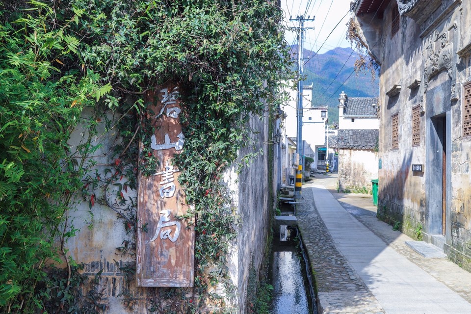 0DF84188-B586-4875-B109-AB79CC313736