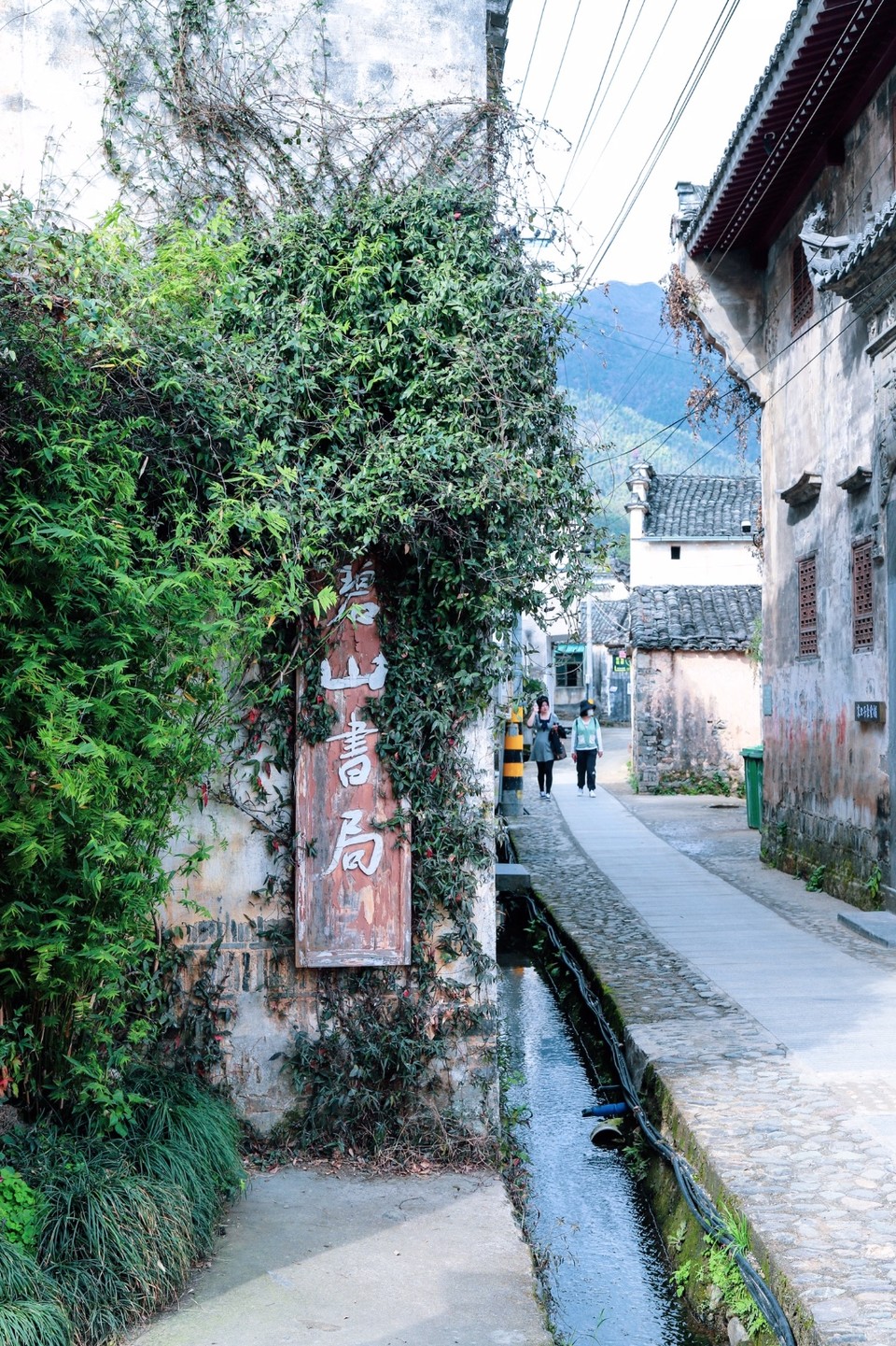 1F6E31C6-9A00-47AD-BB2D-95E4BA577EC3