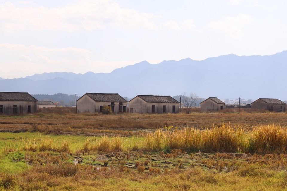 033FDF74-E10A-435E-AF3A-3E22296E397B