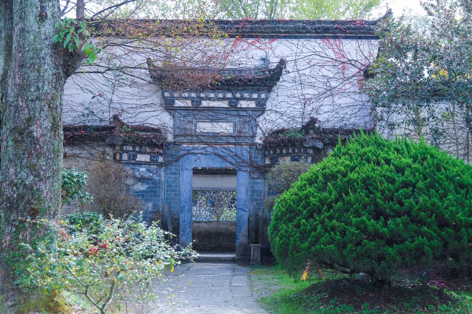 A4A8C739-BF4E-4DC5-B3AE-D87A849E86C7